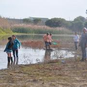 Southern Suburbs Satellites, Environmental Education