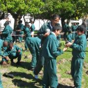 KRCA, Arbour Day, Southern Suburbs Satellites, Environmental Education