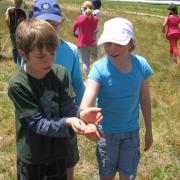 KRCA, Southern Suburbs Satellites, Environmental Education