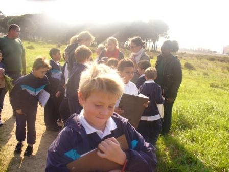 Pro Ed House, Rondebosch Common Walk